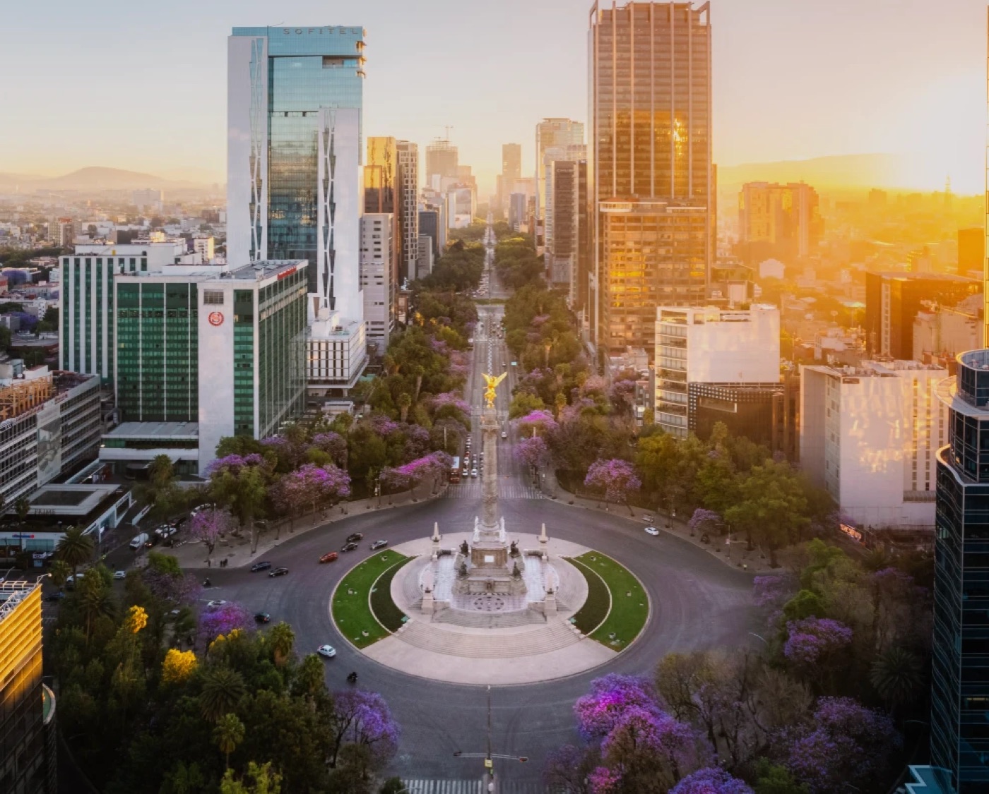 Mexico City at golden hour: the Angel of Independence on Paseo de la Reforma, jacarandas in bloom.